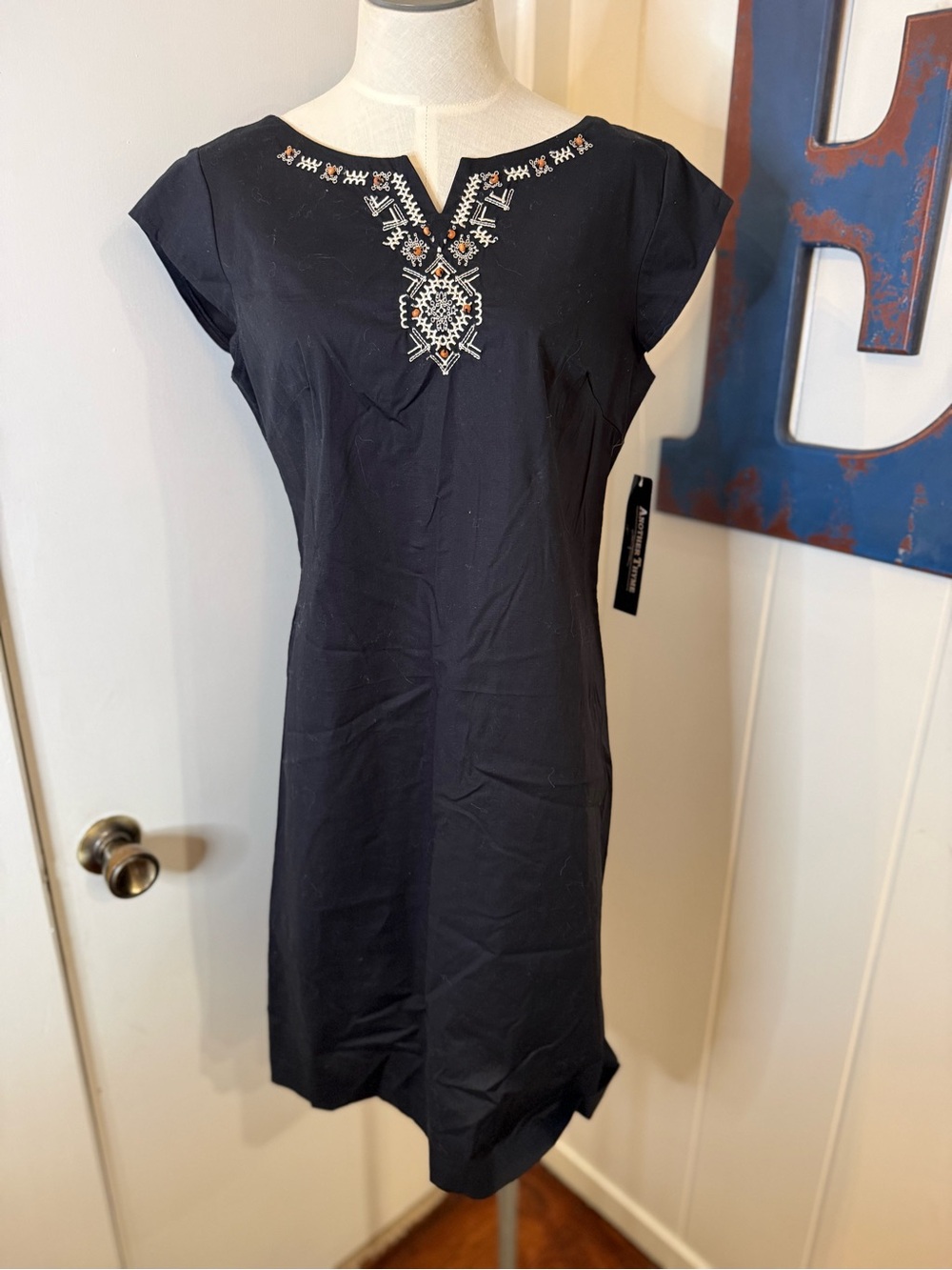 Another Thyme Embroidered Black Cap-Sleeve Mini Dress Sz 10 NWT